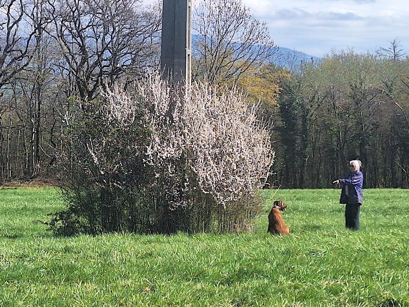 Rangoon uploaded   10  day/s  ago