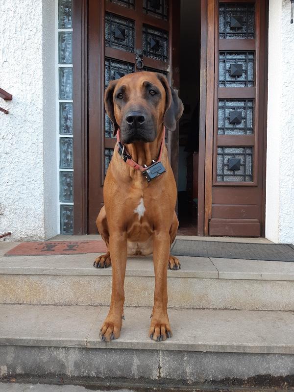 Rangoon uploaded   22  day/s  ago