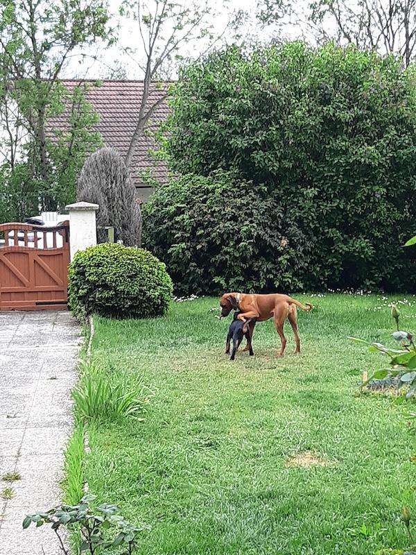 Rangoon uploaded   1 year/s ago