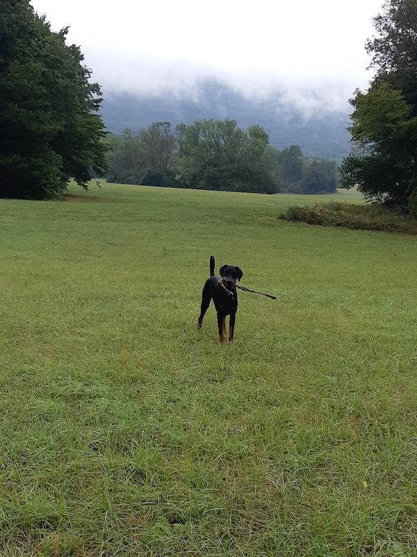 Rangoon uploaded   184  day/s  ago