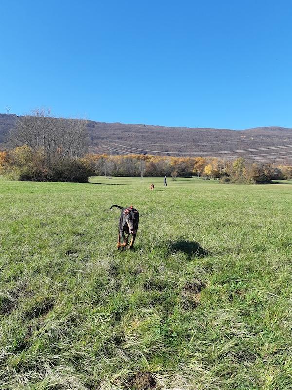 Rangoon uploaded   154  day/s  ago