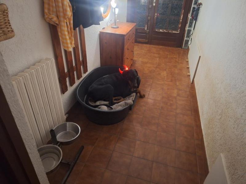 Rangoon uploaded   146  day/s  ago