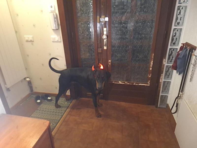 Rangoon uploaded   146  day/s  ago