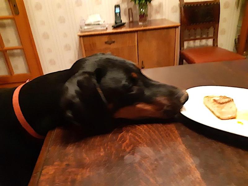 Valle-lee of the Rangoon family