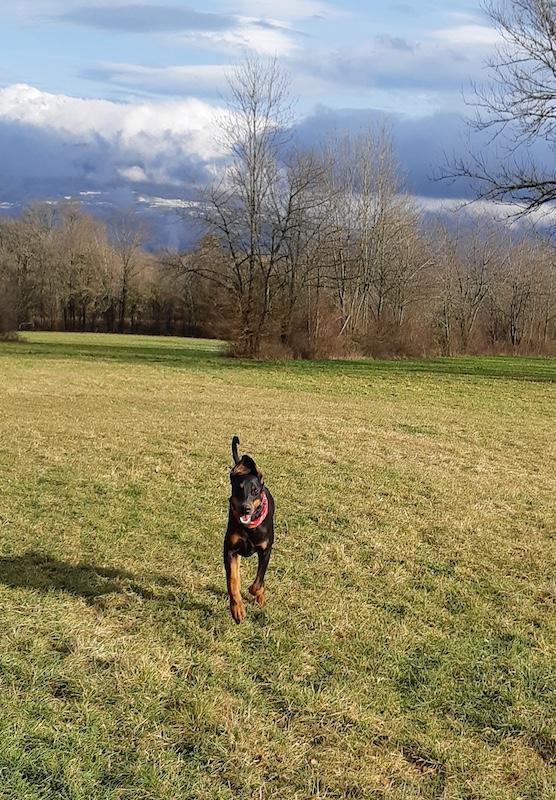 Rangoon uploaded   1 year/s ago