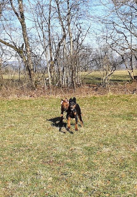 Rangoon uploaded   1 year/s ago