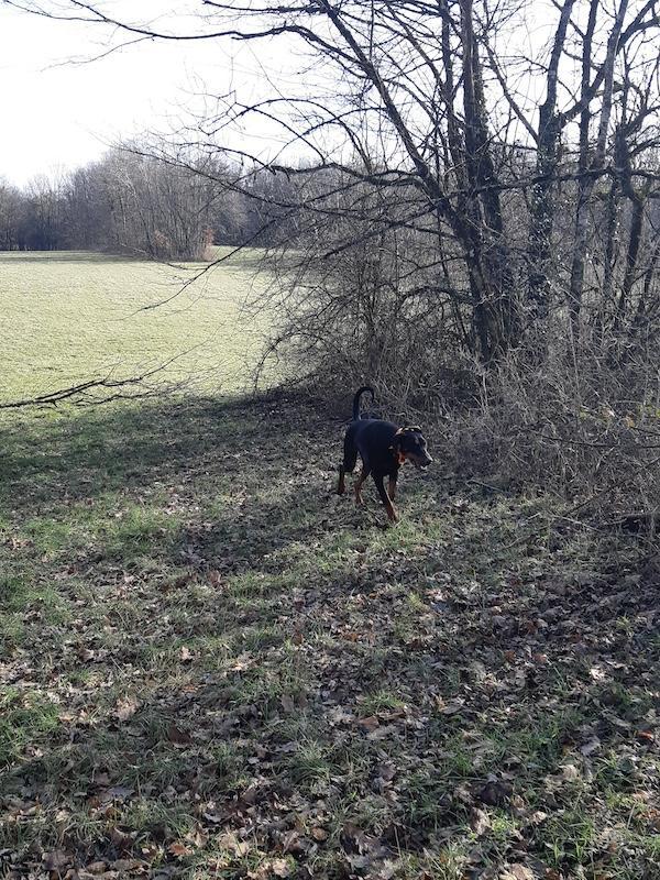 Rangoon uploaded   1 year/s ago