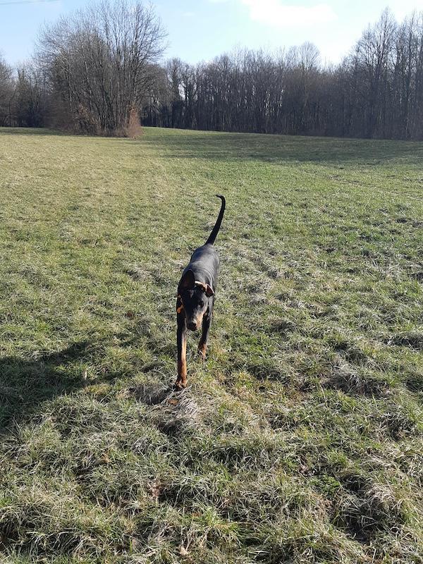 Rangoon uploaded   1 year/s ago