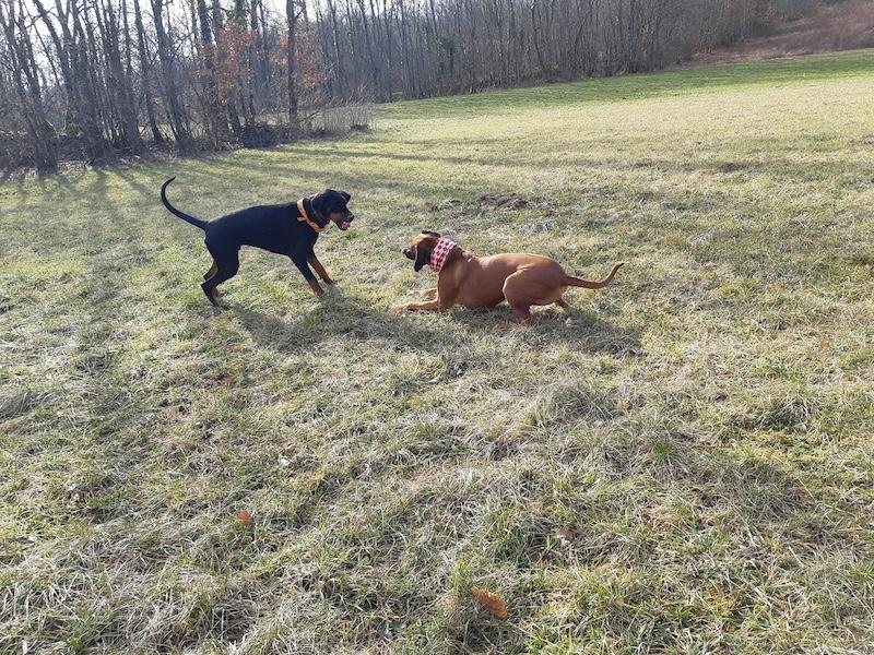 Rangoon uploaded   1 year/s ago