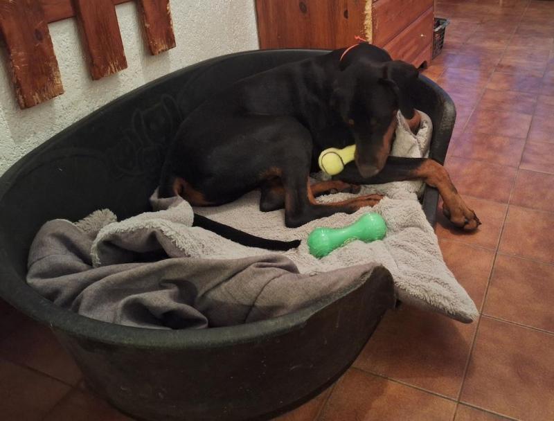 Rangoon uploaded   1 year/s ago