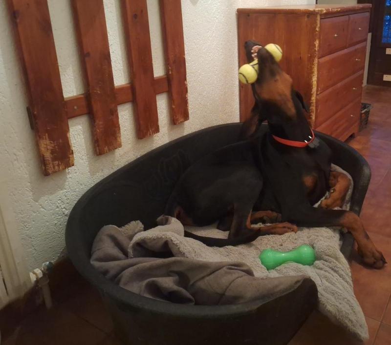 Rangoon uploaded   1 year/s ago