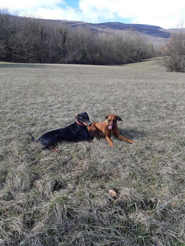 Rangoon uploaded   1 year/s ago