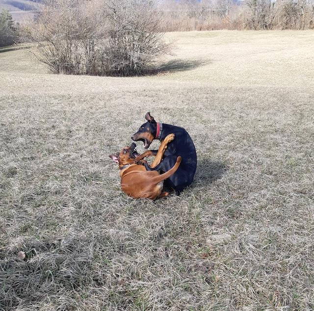 Rangoon uploaded   1 year/s ago