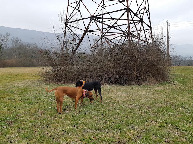 Rangoon uploaded   1 year/s ago