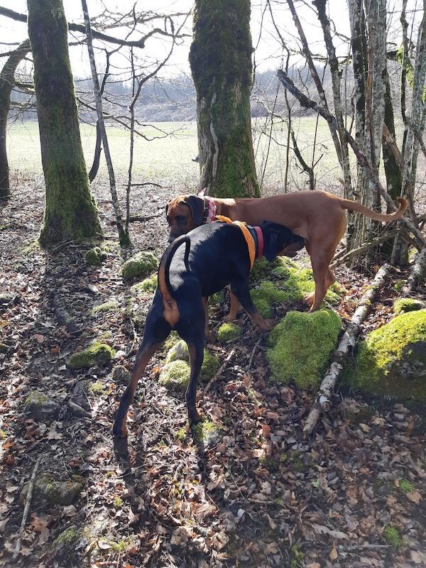 Rangoon uploaded   1 year/s ago