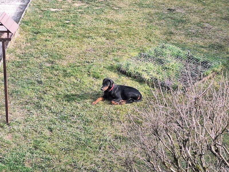 Rangoon uploaded   1 year/s ago