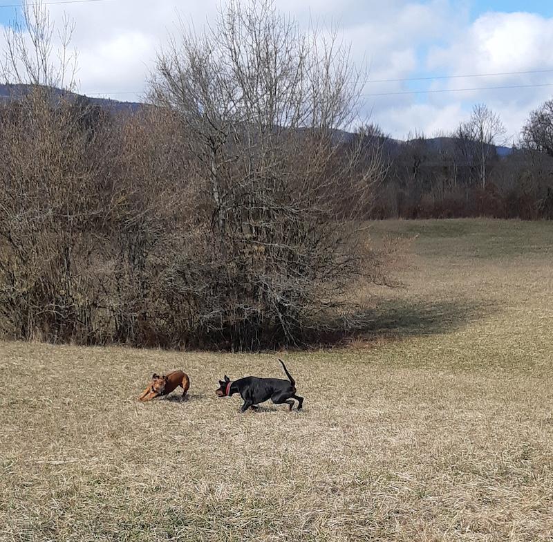 Rangoon uploaded   1 year/s ago