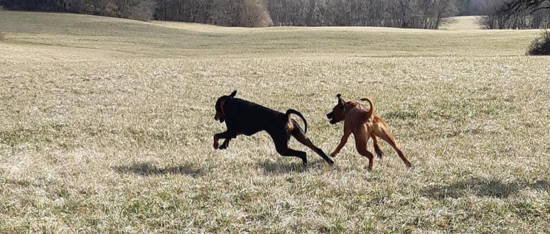 Rangoon uploaded   1 year/s ago