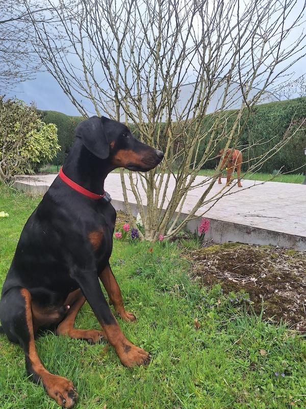 Rangoon uploaded   1 year/s ago