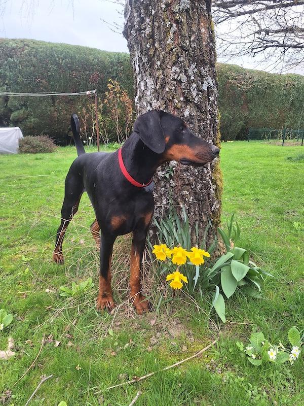 Rangoon uploaded   1 year/s ago