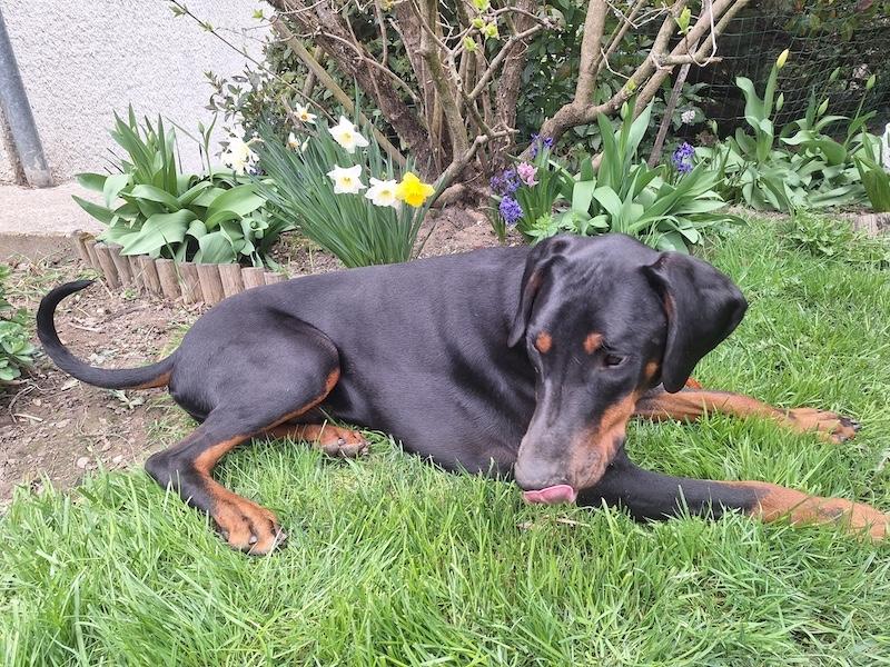 Rangoon uploaded   1 year/s ago