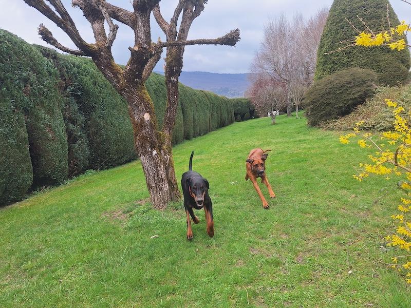 Rangoon uploaded   1 year/s ago