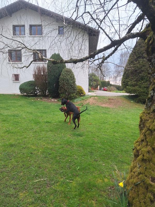 Rangoon uploaded   1 year/s ago