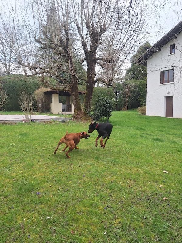 Rangoon uploaded   1 year/s ago