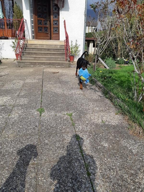 Rangoon uploaded   342  day/s  ago