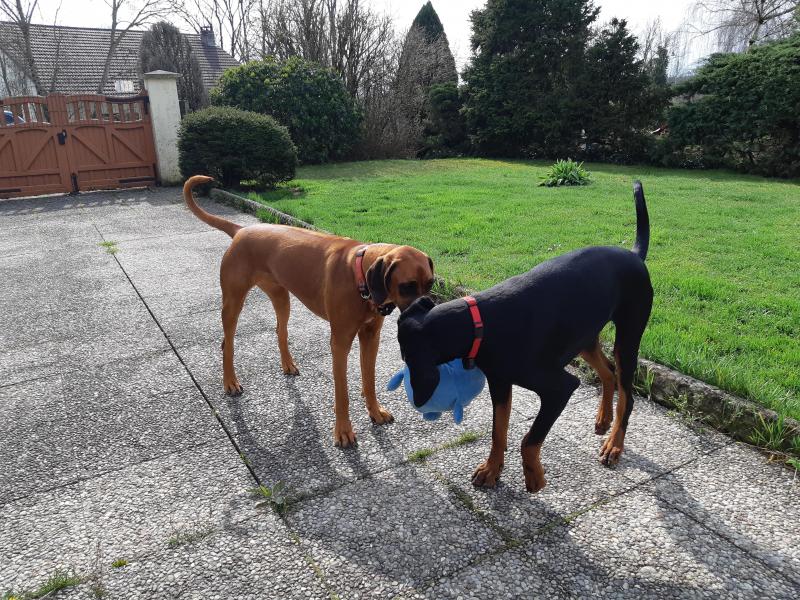 Rangoon uploaded   342  day/s  ago