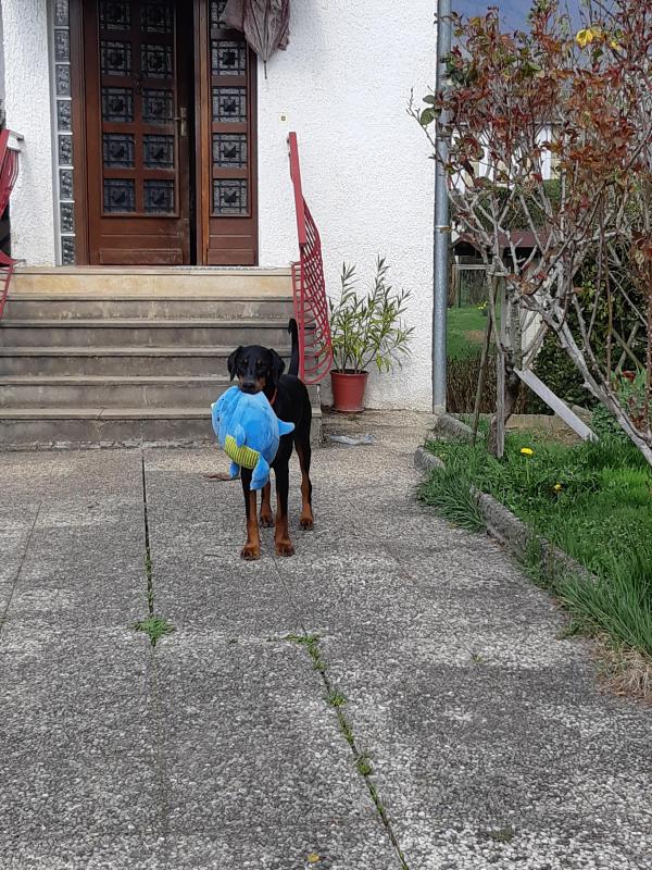 Rangoon uploaded   342  day/s  ago