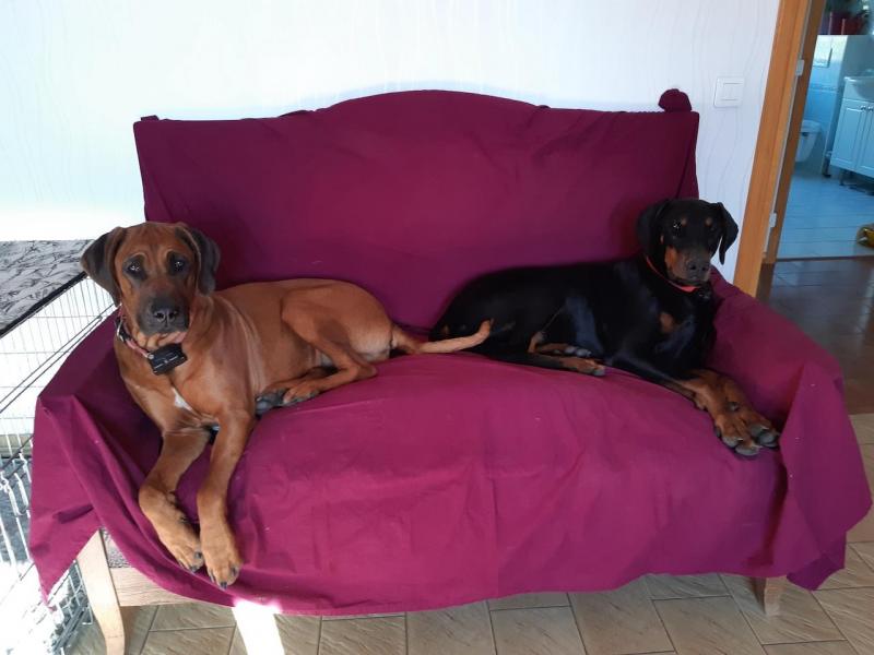 Rangoon uploaded   335  day/s  ago