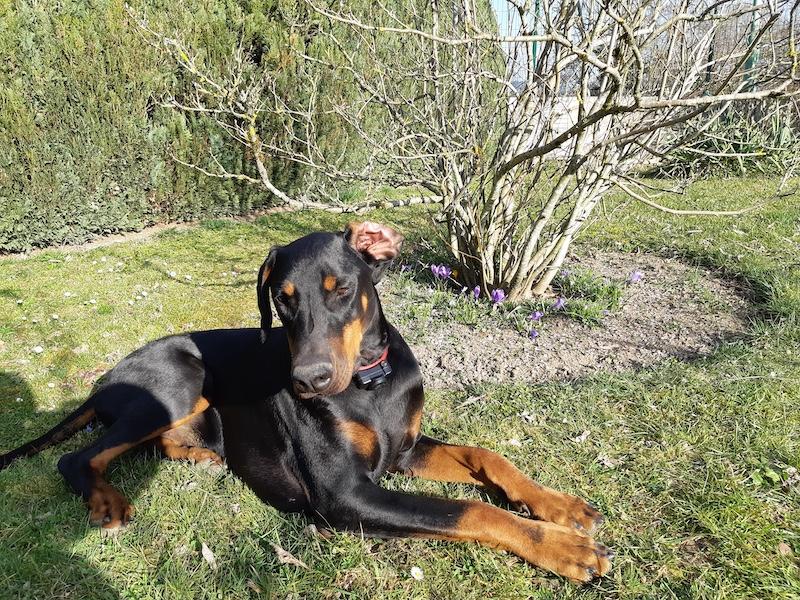 Rangoon uploaded   360  day/s  ago