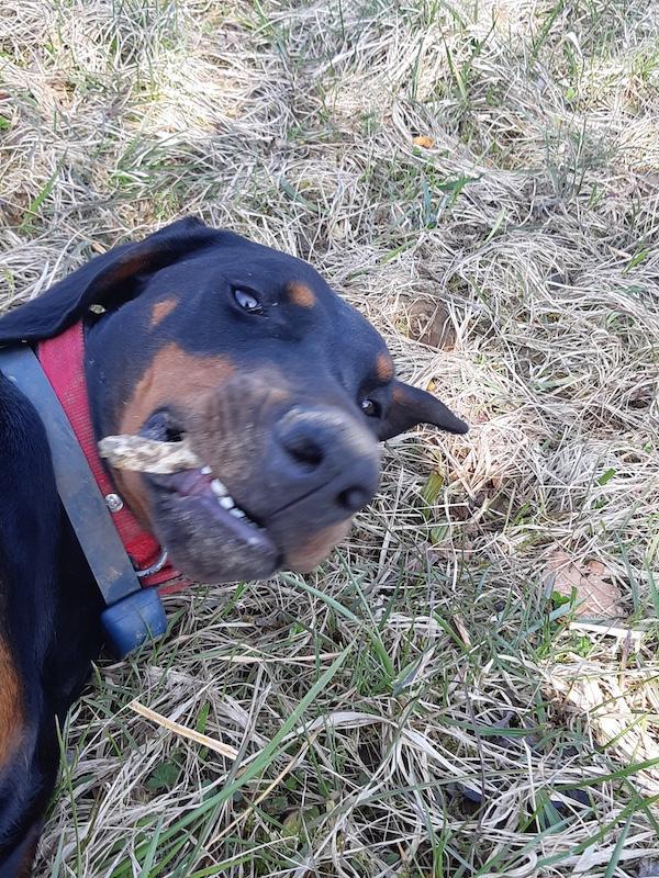 Rangoon uploaded   353  day/s  ago