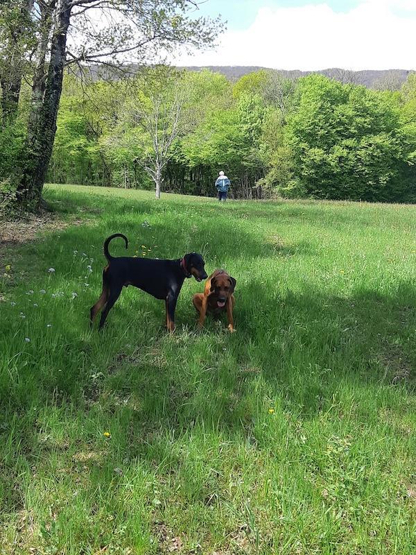 Rangoon uploaded   318  day/s  ago