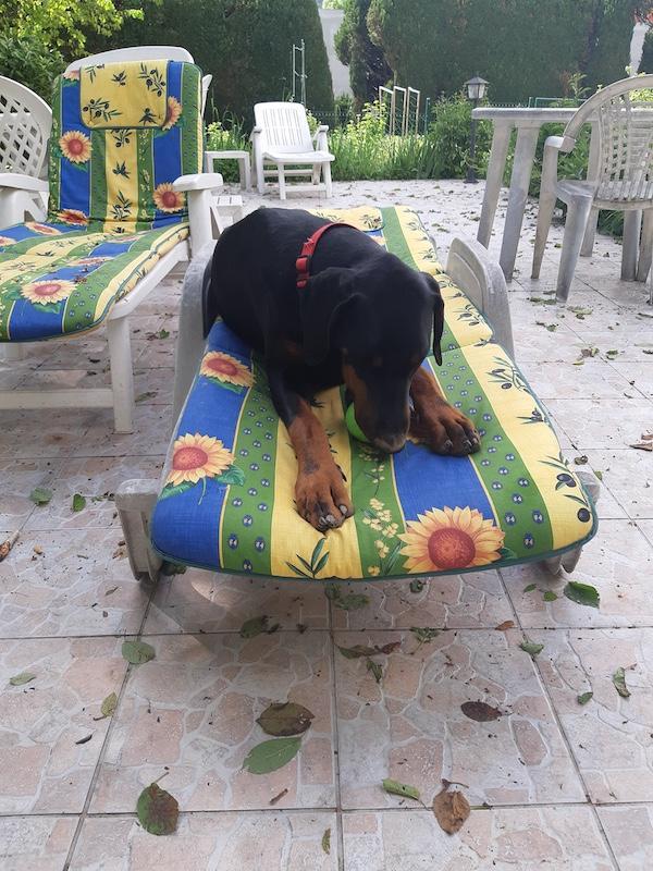 Rangoon uploaded   305  day/s  ago