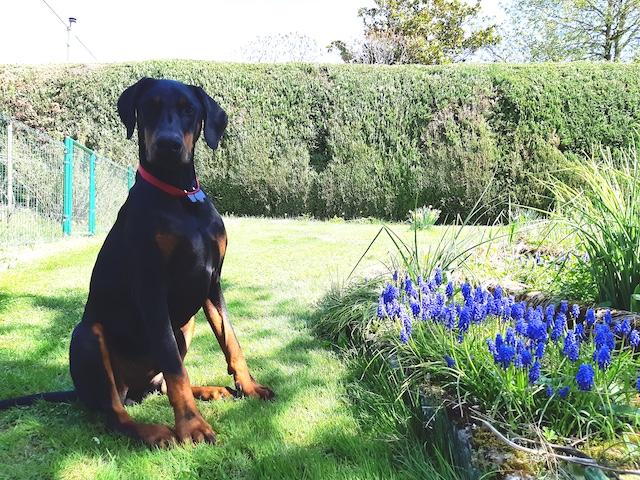 Rangoon uploaded   251  day/s  ago