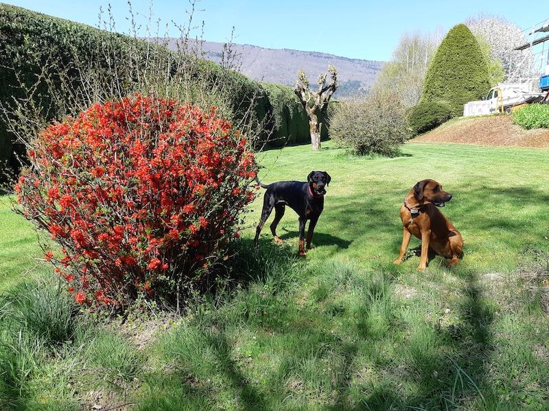 Rangoon uploaded   327  day/s  ago