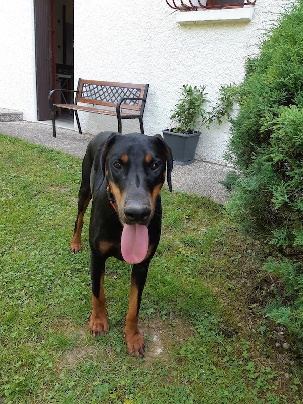 Rangoon uploaded   283  day/s  ago