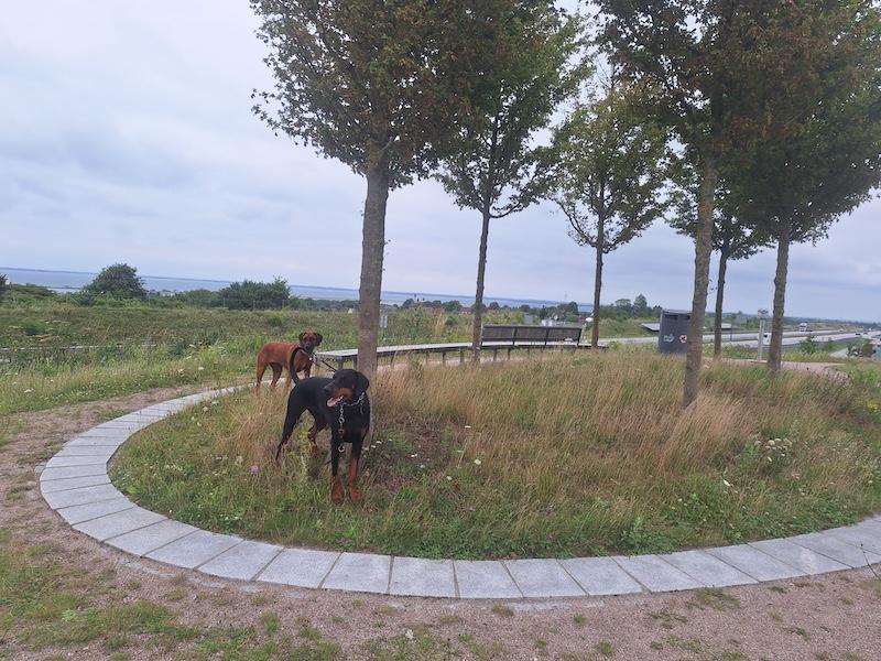 Rangoon uploaded   256  day/s  ago