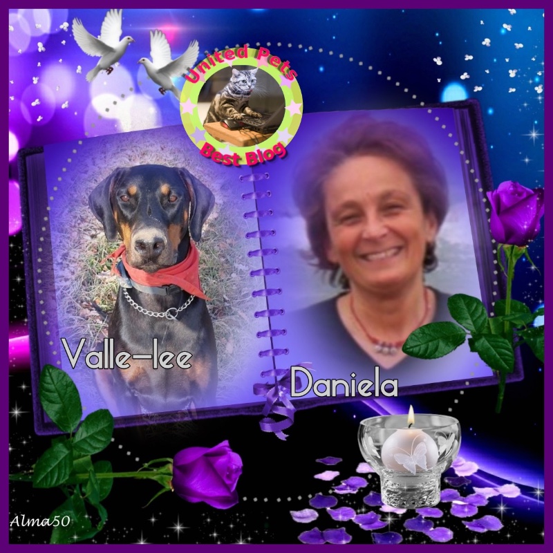 Rangoon uploaded   93  day/s  ago