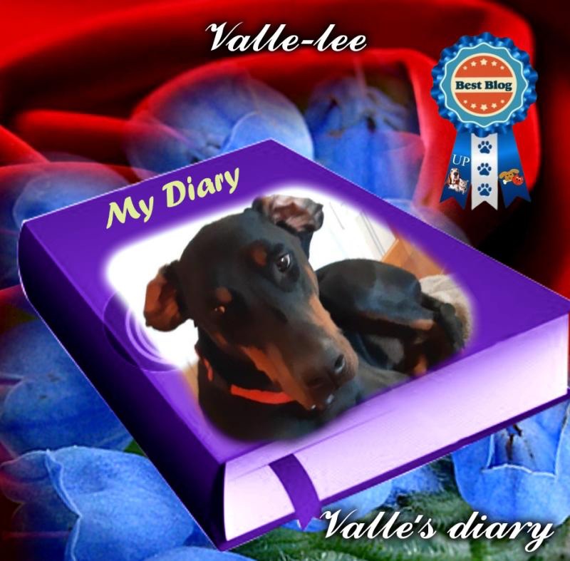 Rangoon uploaded   78  day/s  ago