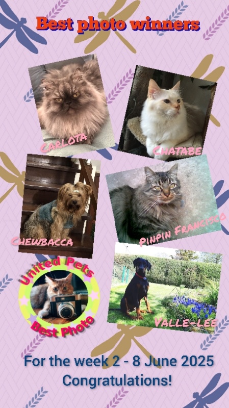 Rangoon uploaded   341  day/s  ago