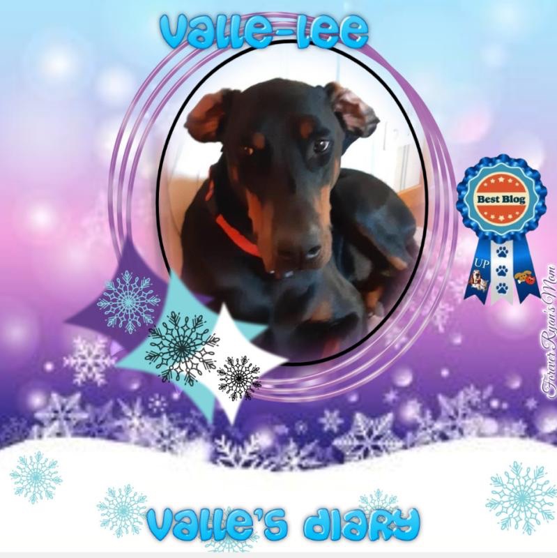 Rangoon uploaded   78  day/s  ago