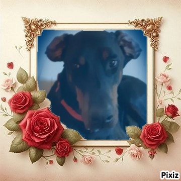 Rangoon uploaded   98  day/s  ago