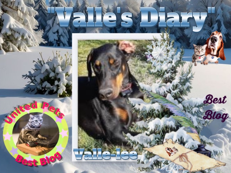 Rangoon uploaded   93  day/s  ago