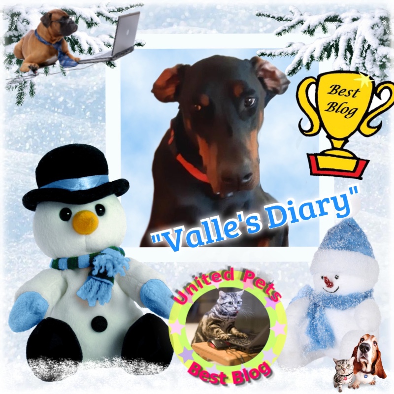 Rangoon uploaded   79  day/s  ago