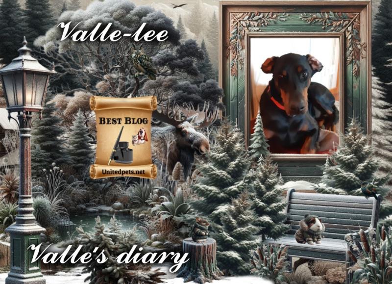 Rangoon uploaded   93  day/s  ago