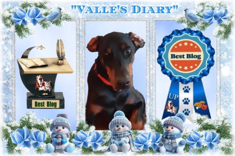 Rangoon uploaded   95  day/s  ago