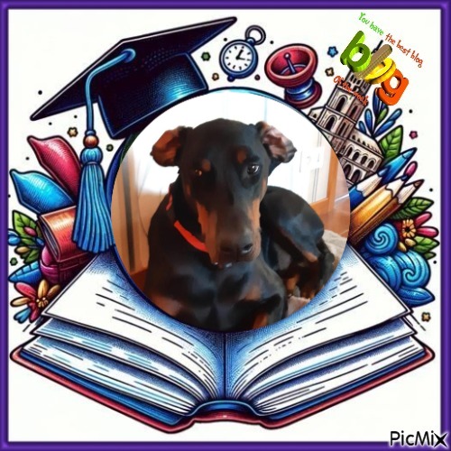 Rangoon uploaded   97  day/s  ago